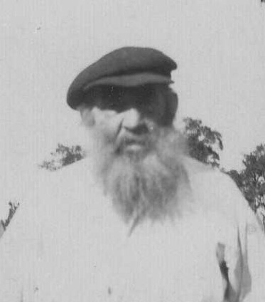 Henry Butt 8783 (Photo: Ruth McWilliams)